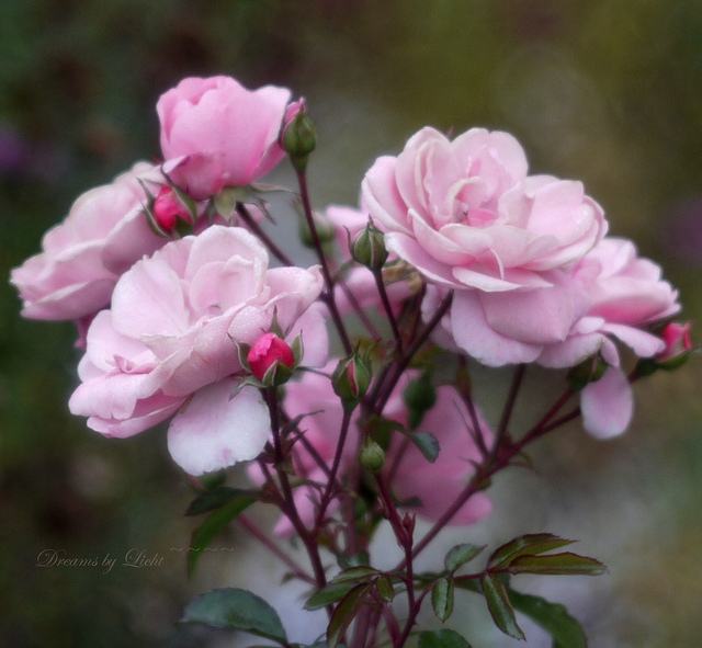 สีสันบนโลก 7
