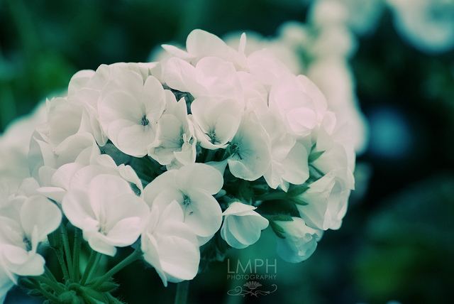 สีสันบนโลก 7