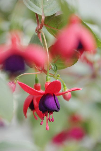 สีสันบนโลก 7