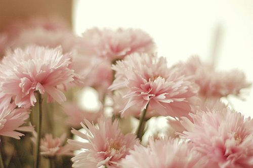 สีสันบนโลก 7