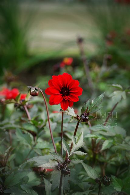 สีสันบนโลก 7