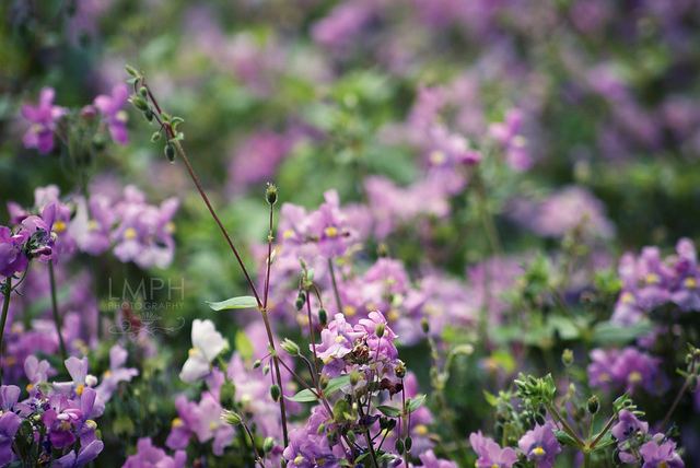สีสันบนโลก 7