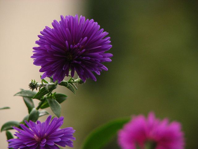 สีสันบนโลก 7