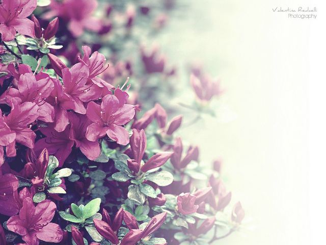 สีสันบนโลก 7