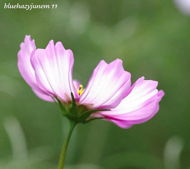 สีสันบนโลก 7