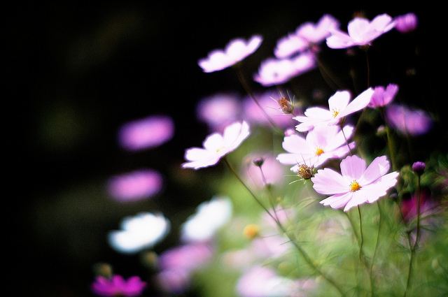 สีสันบนโลก 7