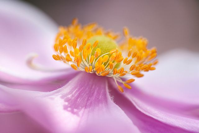 สีสันบนโลก 8