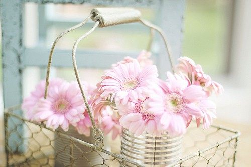 สีสันบนโลก 8