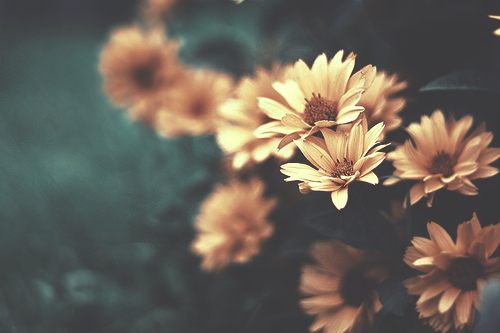 สีสันบนโลก 8