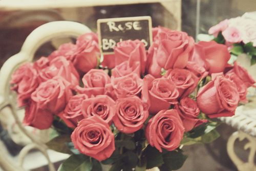 สีสันบนโลก 8