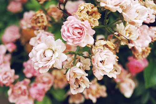 สีสันบนโลก 8