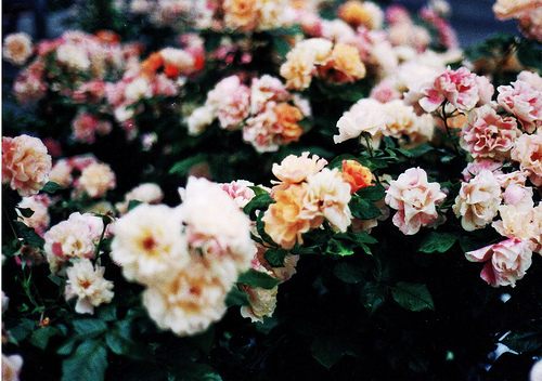 สีสันบนโลก 8