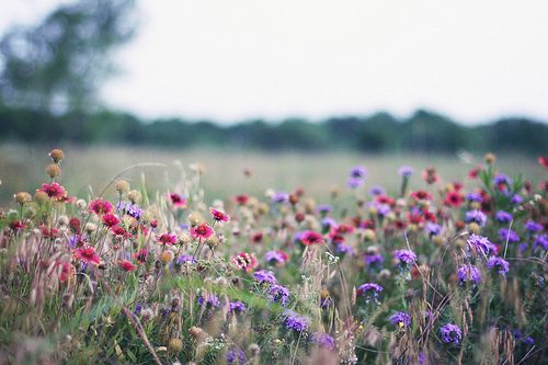 สีสันบนโลก 8