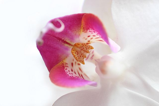 สีสันบนโลก 8