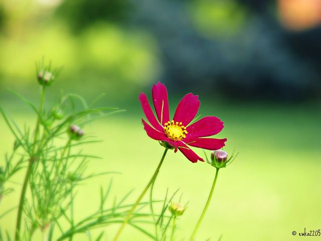 สีสันบนโลก 8
