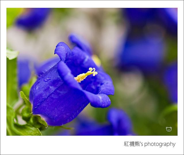 สีสันบนโลก 8