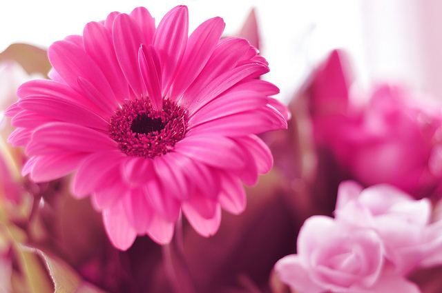 สีสันบนโลก 8