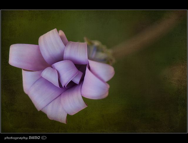 สีสันบนโลก 8