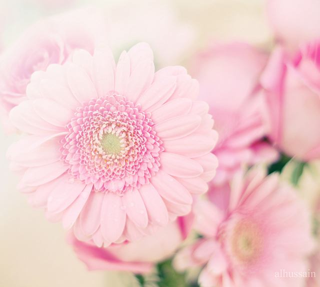 สีสันบนโลก 8