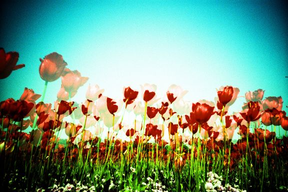 สีสันบนโลก 8