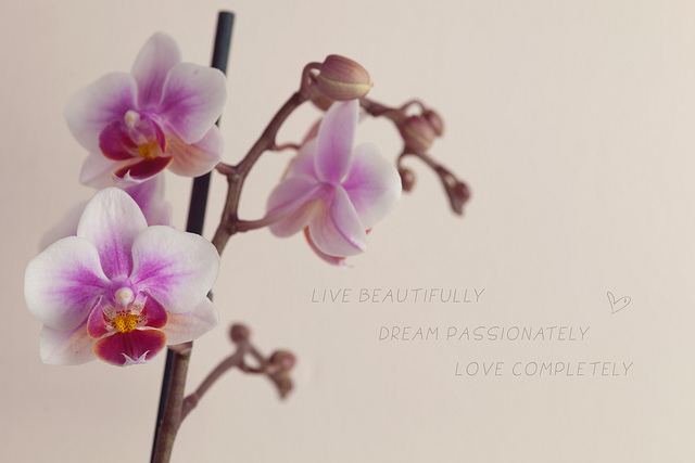 สีสันบนโลก 8