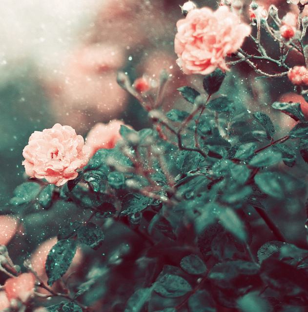 สีสันบนโลก 8