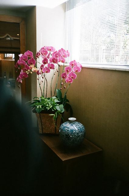 สีสันบนโลก 8