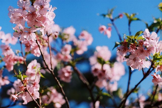 สีสันบนโลก 8