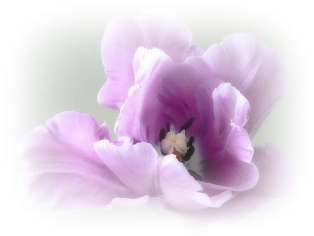 สีสันบนโลก 8