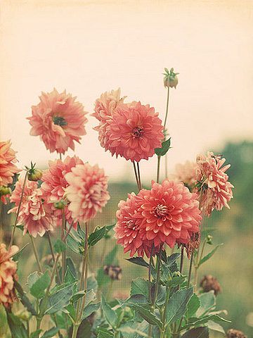 สีสันบนโลก 8