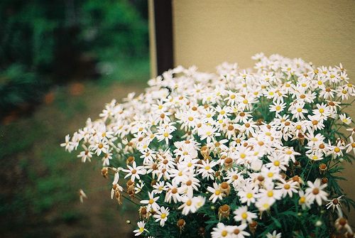 สีสันบนโลก 8