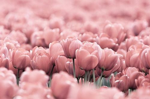 สีสันบนโลก 9