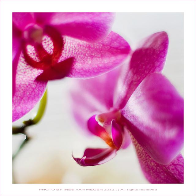 สีสันบนโลก 9