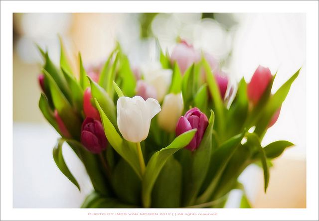 สีสันบนโลก 9