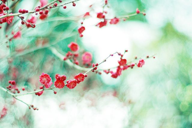 สีสันบนโลก 9