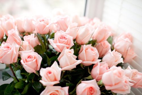 สีสันบนโลก 9