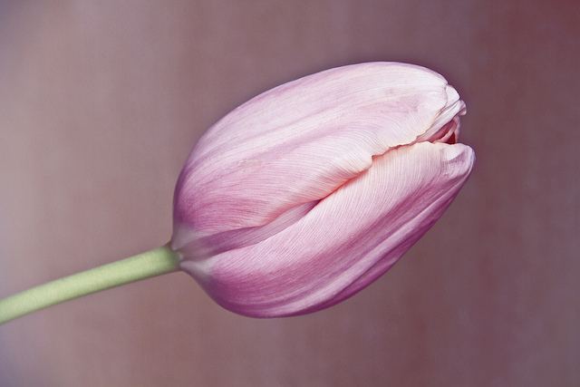 สีสันบนโลก 9