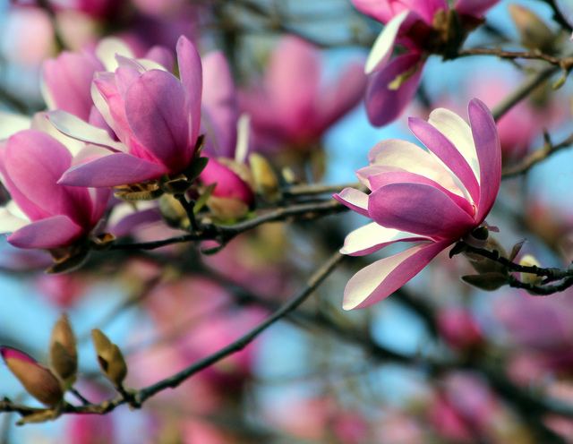 สีสันบนโลก 9