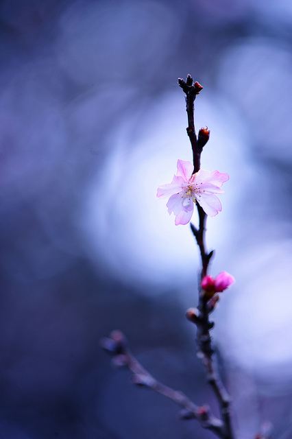 สีสันบนโลก 9