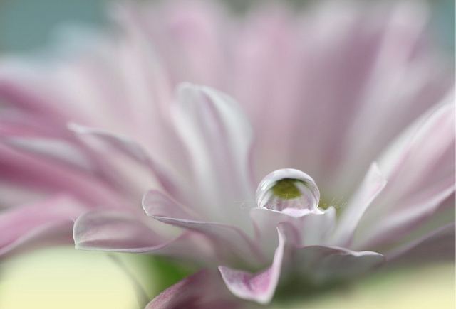 สีสันบนโลก 9