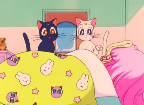 คนรัก Luna and Artemis และไดอาน่า