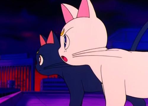 คนรัก Luna and Artemis และไดอาน่า