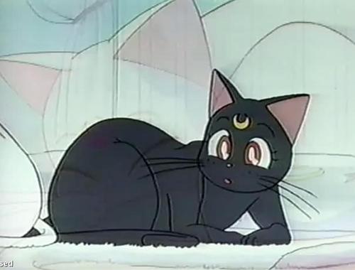 คนรัก Luna and Artemis และไดอาน่า