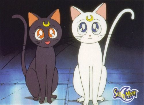 คนรัก Luna and Artemis และไดอาน่า