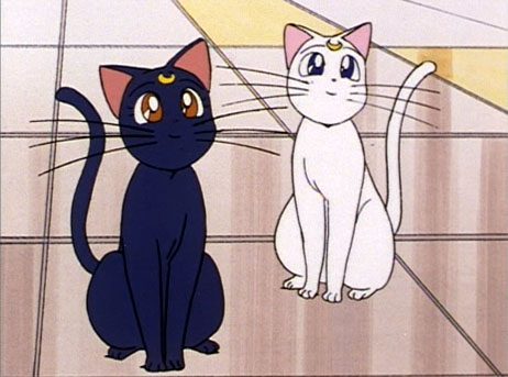 คนรัก Luna and Artemis และไดอาน่า