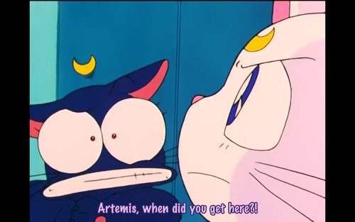 คนรัก Luna and Artemis และไดอาน่า
