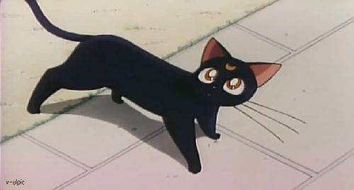 คนรัก Luna and Artemis และไดอาน่า