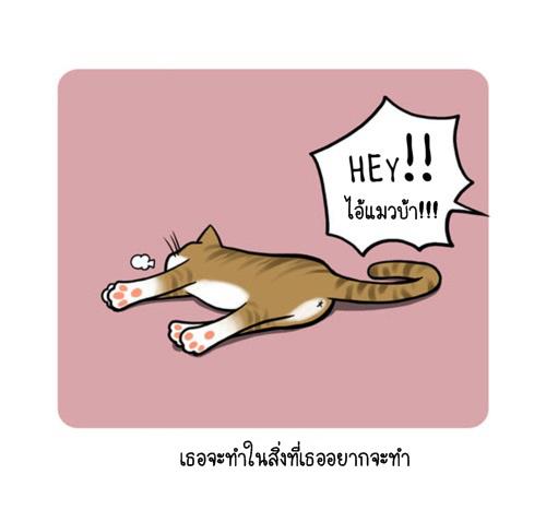 Blood Type story