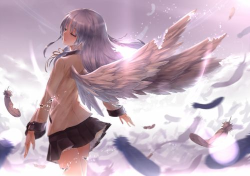 สาวกการ์ตูน 7