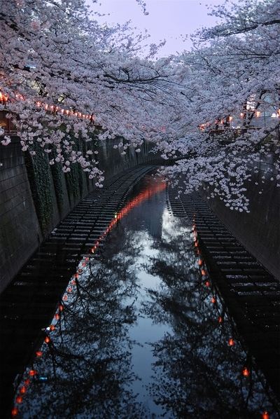 A beautiful World 9
